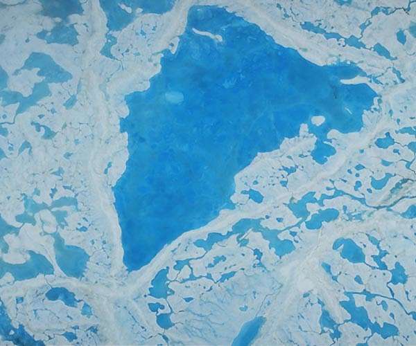 Phytoplankton perform photosynthesis, bloom beneath Arctic sea ice
