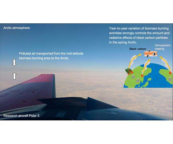 Black carbon aerosols heating Arctic: Large contribution from mid-latitude biomass burning