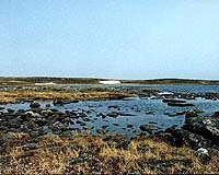 Arctic lake sediment shows record warming since 1950