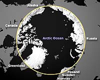 Arctic meeting calls for closer international cooperation