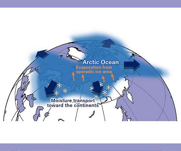 Reduced sea ice in the Barents-Kara seas can increase snow cover in Eurasia