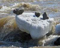 Rapid climatic changes are afoot in the Arctic