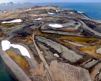 Antarctic penguin colony repeatedly decimated by volcanic eruptions