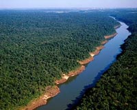 Forests offer first hope out of climate deadlock