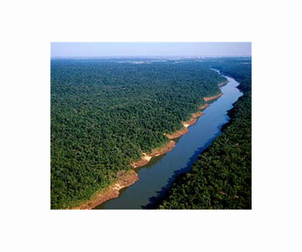 South America's Parana river is drying up, baffling experts