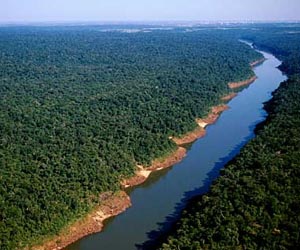 50 percent increase in sustainably managed tropical forests