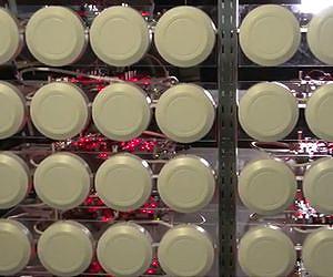 How to feed data-hungry mobile devices? Use more antennas