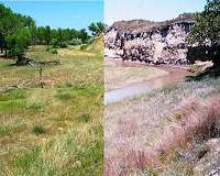 Loss of 350 miles of Great Plains streams causing changes in aquatic food web
