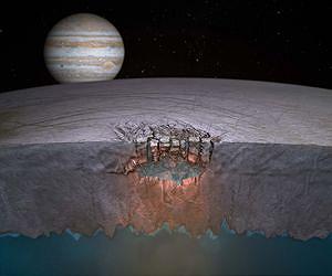 Comet dust seeding life to Jupiter moons?