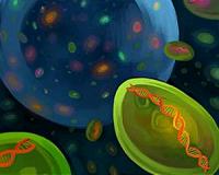 Octillions of microbes in the seas: Ocean microbes show incredible genetic diversity