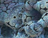 Santa Fe Institute researchers look for life's lower limits