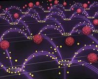 Electric fields remove nanoparticles from blood with ease