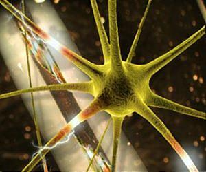 Hybrid tunnel may help guide severed nerves back to health