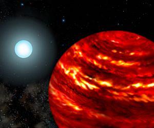 Gas-Giant Exoplanets Cling Close to Their Parent Stars