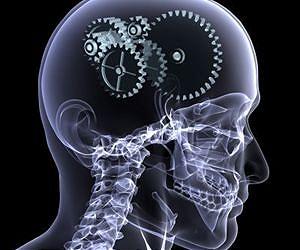 UMass Amherst computer scientist leads the way to the next revolution in artificial intelligence