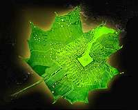 Shedding light on the energy-efficiency of photosynthesis