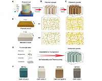 USTC develops a family of bioinspired artificial woods by traditional resins