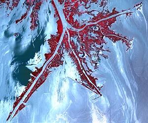 Oil spills boost arsenic levels in ocean: study
