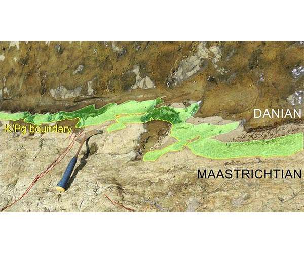 Impact that killed the dinosaurs triggered mega-earthquake that lasted weeks to months