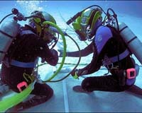 Amid Turtles And Sharks, Astronauts Train For Lunar Mission
