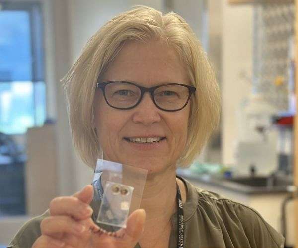 Intercontinental team to grow protein crystals in space