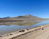 For arid, Mars-like desert, rain brings death