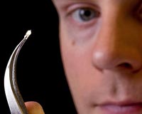 Plastics That Convert Light To Electricity Could Have a Big Impact
