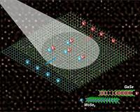 'Odd couple' monolayer semiconductors align to advance optoelectronics