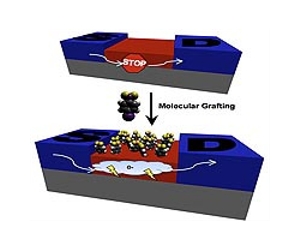 Chemists Create Molecule With Promising Semiconductor Properties