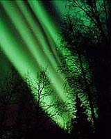 THEMIS Will Judge What Causes Highly Dynamic Aurora