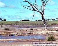 A Quarter Of The World's Population Depends On Degrading Land