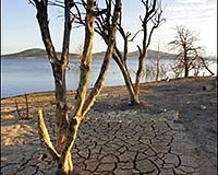 Grim prospects for Australian river system as drought bites:official