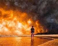 Bushfires burned a fifth of Australia's forest: study