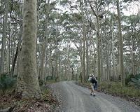 New study re-writes the rules of carbon analysis