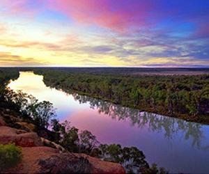 Delivering Cost-Effective Biodiversity Protection