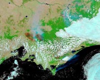 Australia says wildfire damage worse than thought