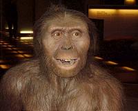 Our human ancestors walked on two feet but their children still had a backup plan