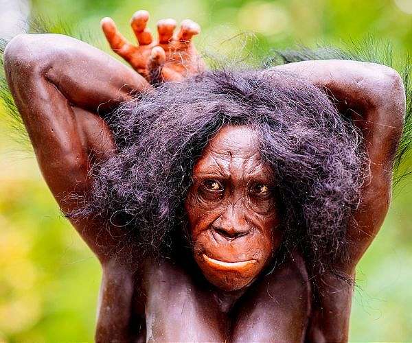 Three million years ago our ancestors relied on plant-based diets