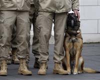 France satisfied with progress on EU military capabilities
