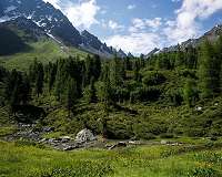 EU chief hails 'Austrian model' on climate change