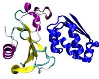 Researchers Discover Architecture For Fundamental Processes Of Life