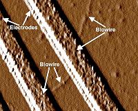Down to the wire: ONR researchers and new bacteria