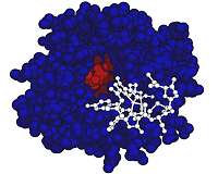Bacteria eats greenhouse gas with a side of protein