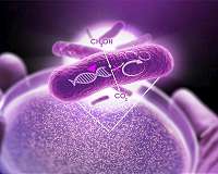 Carbon dioxide-to-methanol process improved by catalyst