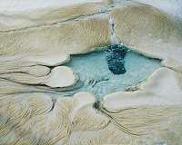 'Fettuccine' may be most obvious sign of life on Mars