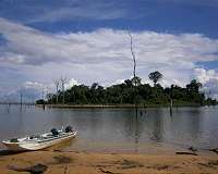 Experts warn against mega-dams in lowland tropical forests