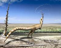 Lice were infesting dinosaur feathers 100 million years ago