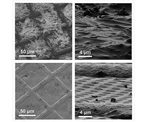 First realistic portraits of squishy layer that's key to battery performance