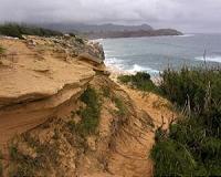 Beach replenishment may have 'far reaching' impacts on ecosystems