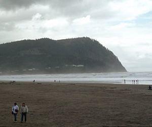 US beaches laden with sewage, bacteria: study